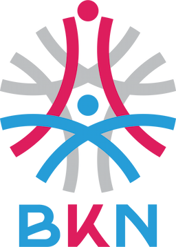 BKN Logo